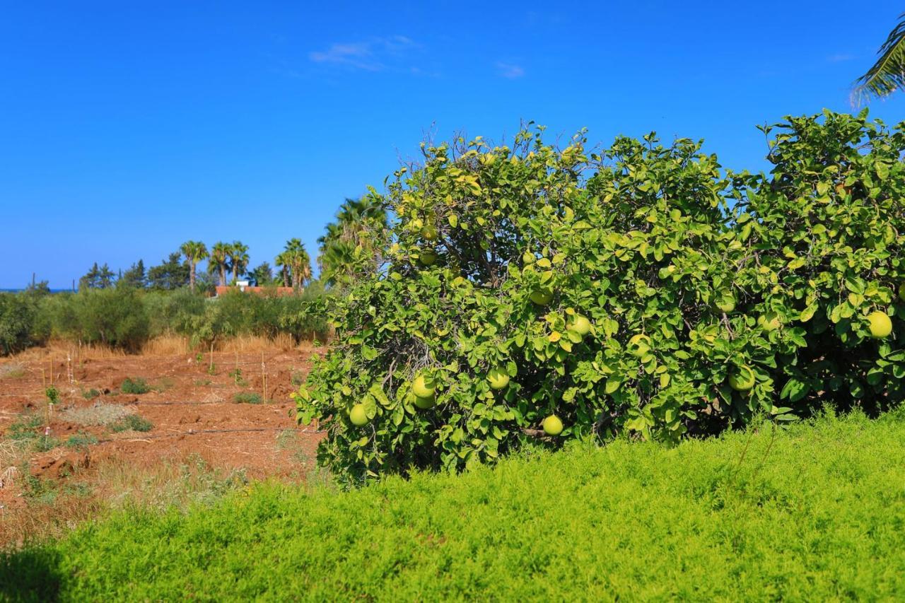 לאצ'י Villa Stavriella מראה חיצוני תמונה